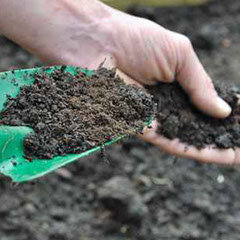 Quality Loam & Soil Conditioner